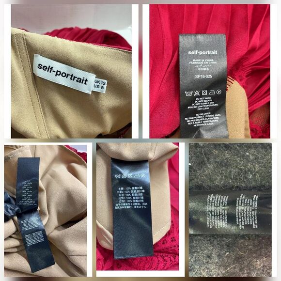 Self-Portrait Pleated Chiffon Lace Dress ASO Cristal Dynasty Sz 8 - Picture 11 of 11